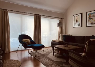 Professional Window Treatment