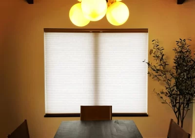 Professional Window Treatment