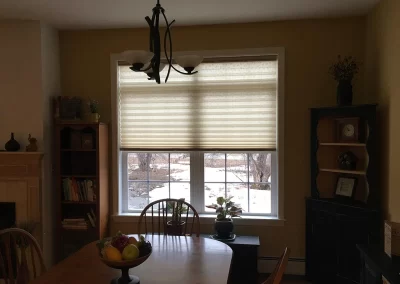 Professional Window Treatment