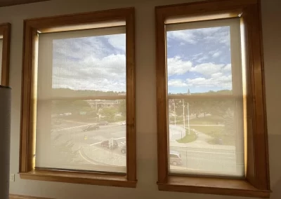 Professional Window Treatment